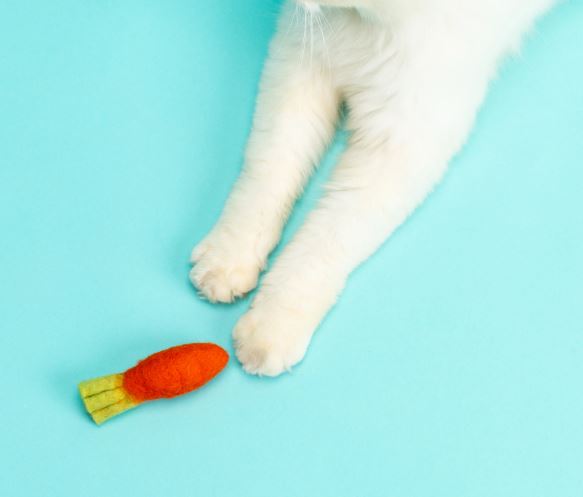Mimis Daughters Three Crisp Carrots
