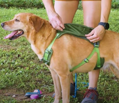 Kurgo Dog Harness Cascade