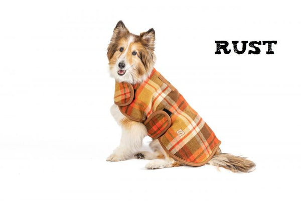 Chilly Dog Blanket Coats