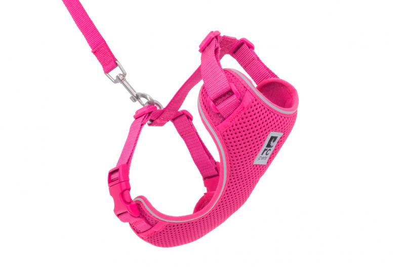 RC Adventure Kitty Harness