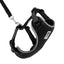 RC Adventure Kitty Harness